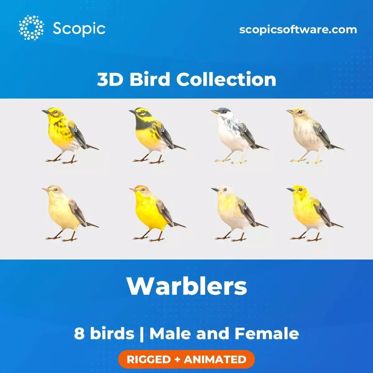 3D Bird Collection - Warblers _0