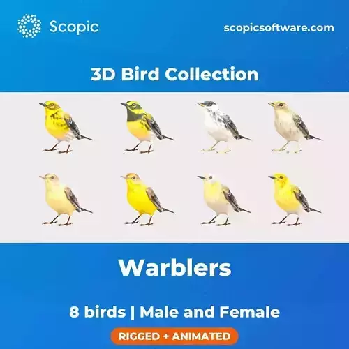 3D Bird Collection - Warblers 