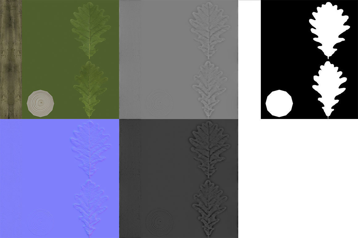 Oak Branch 3D model_7