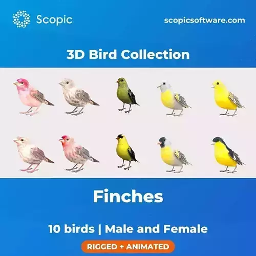 3D Bird Collection - Finches 