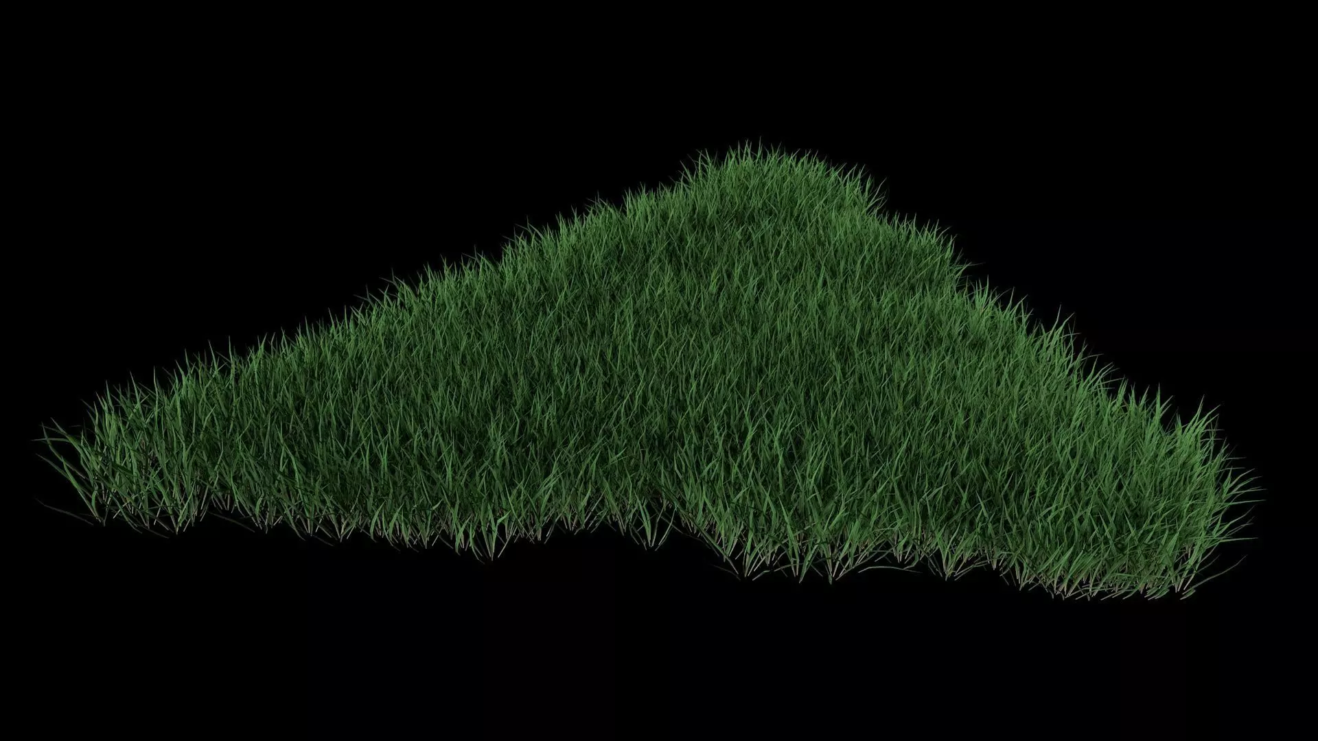 3D Lawn Grass for Garden and Park 3D model_0