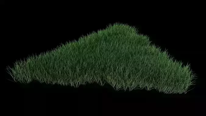 3D Lawn Grass for Garden and Park