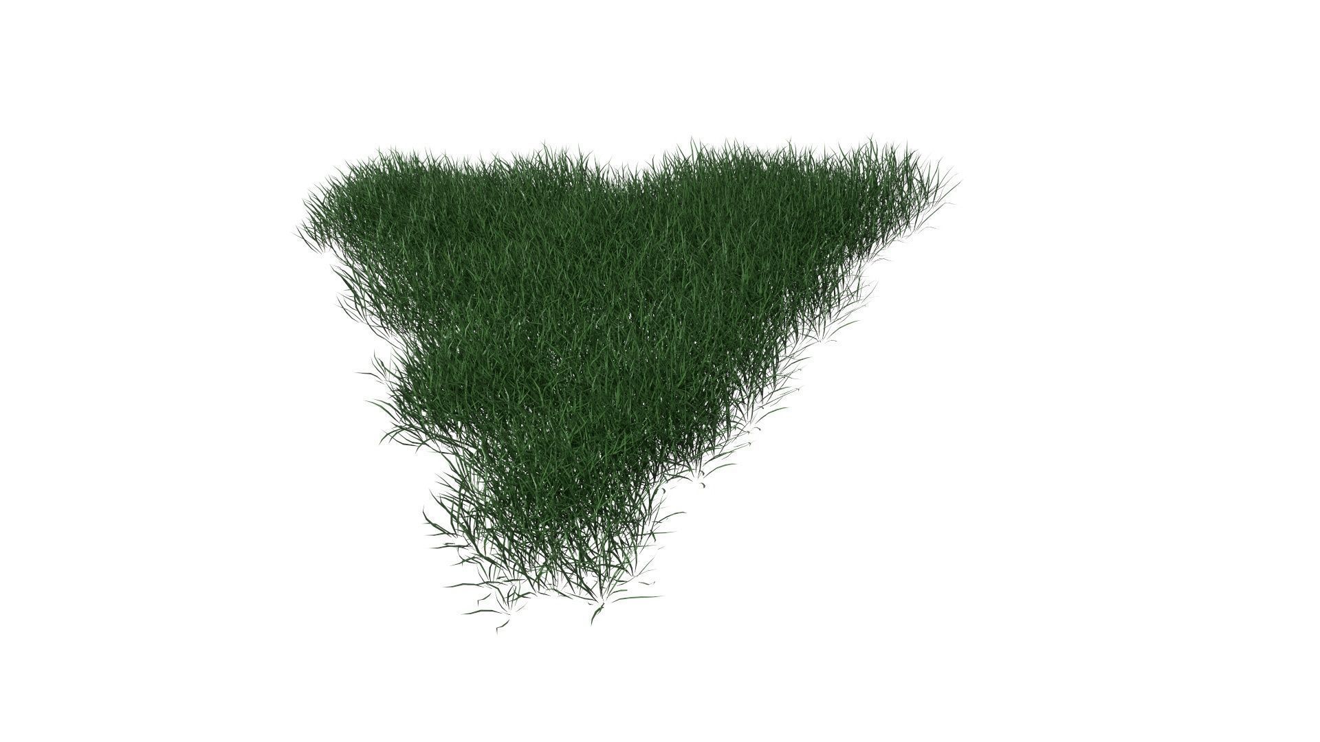 3D Lawn Grass for Garden and Park 3D model_16