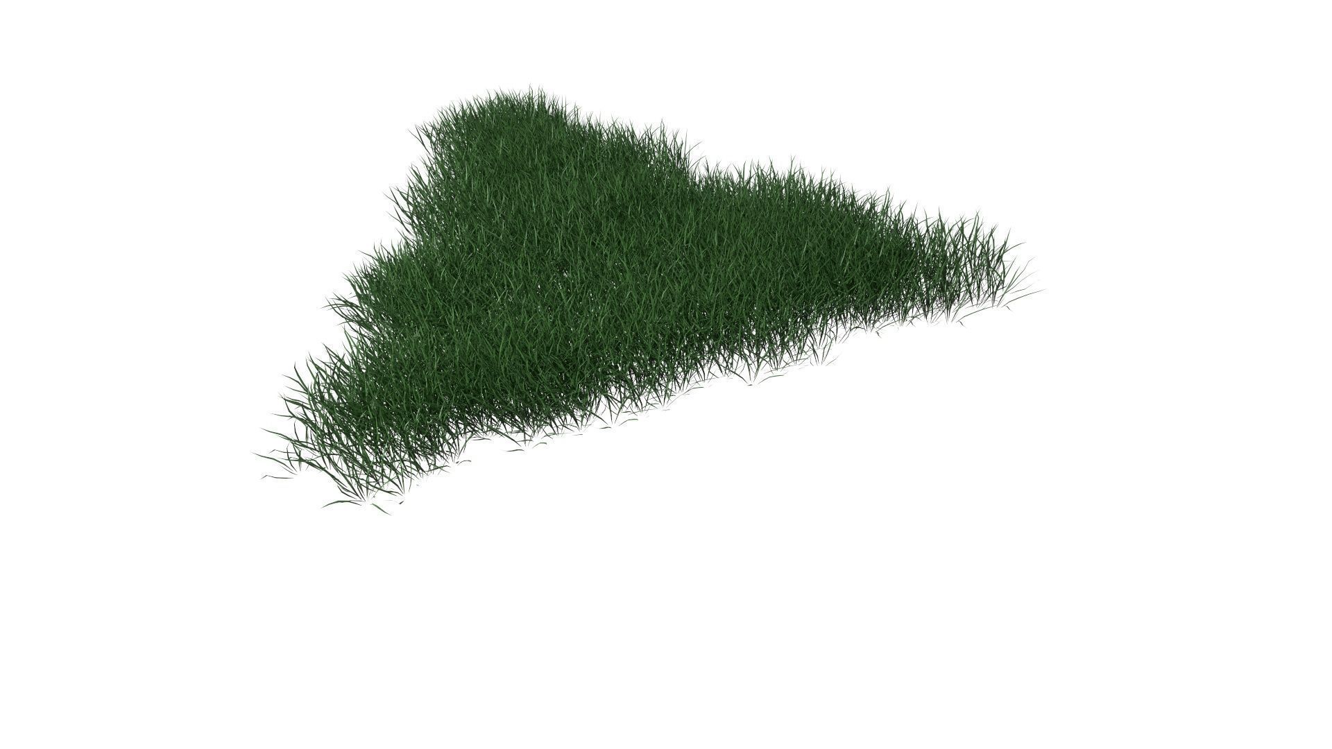 3D Lawn Grass for Garden and Park 3D model_8