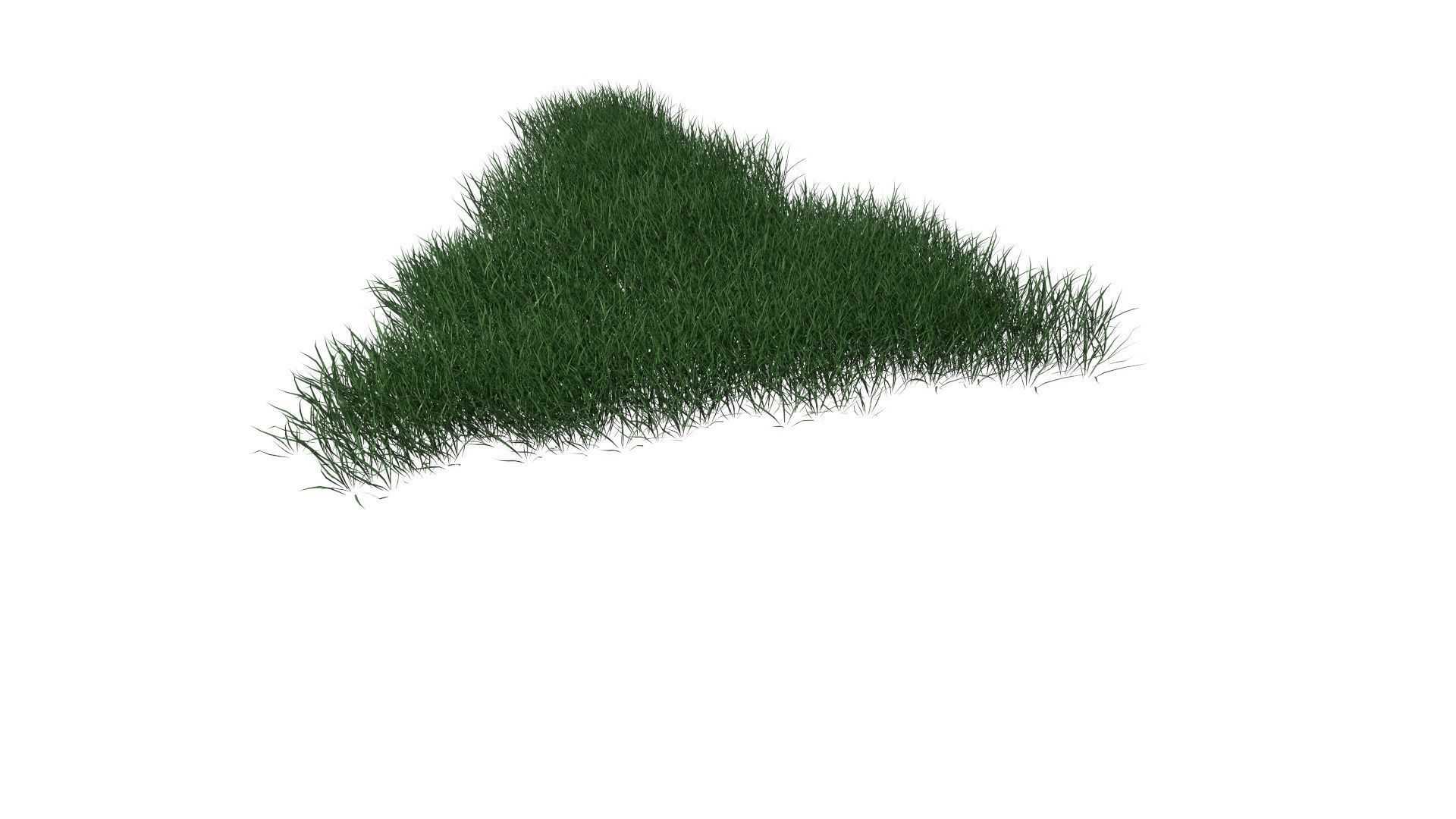 3D Lawn Grass for Garden and Park 3D model_6