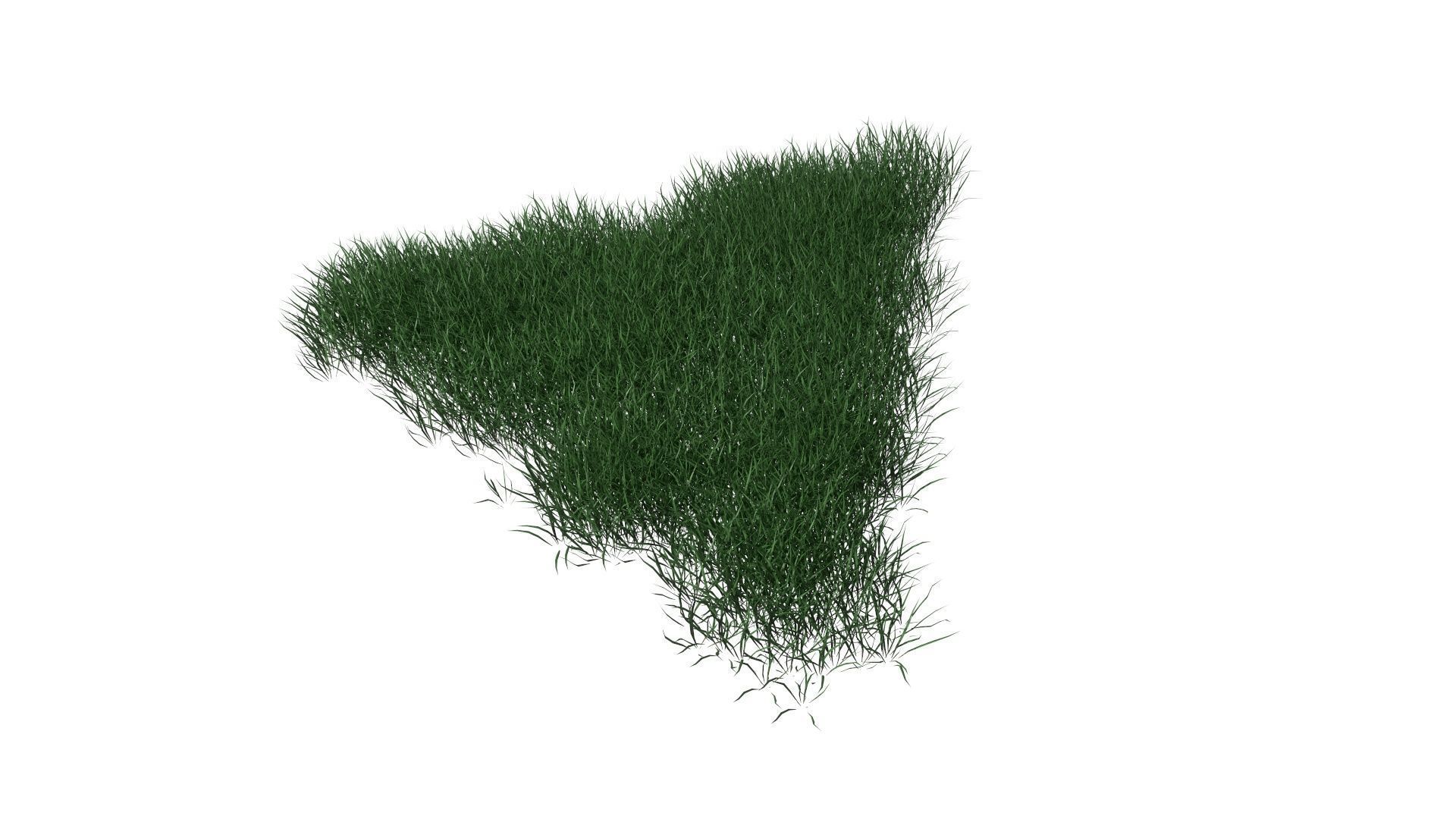 3D Lawn Grass for Garden and Park 3D model_20