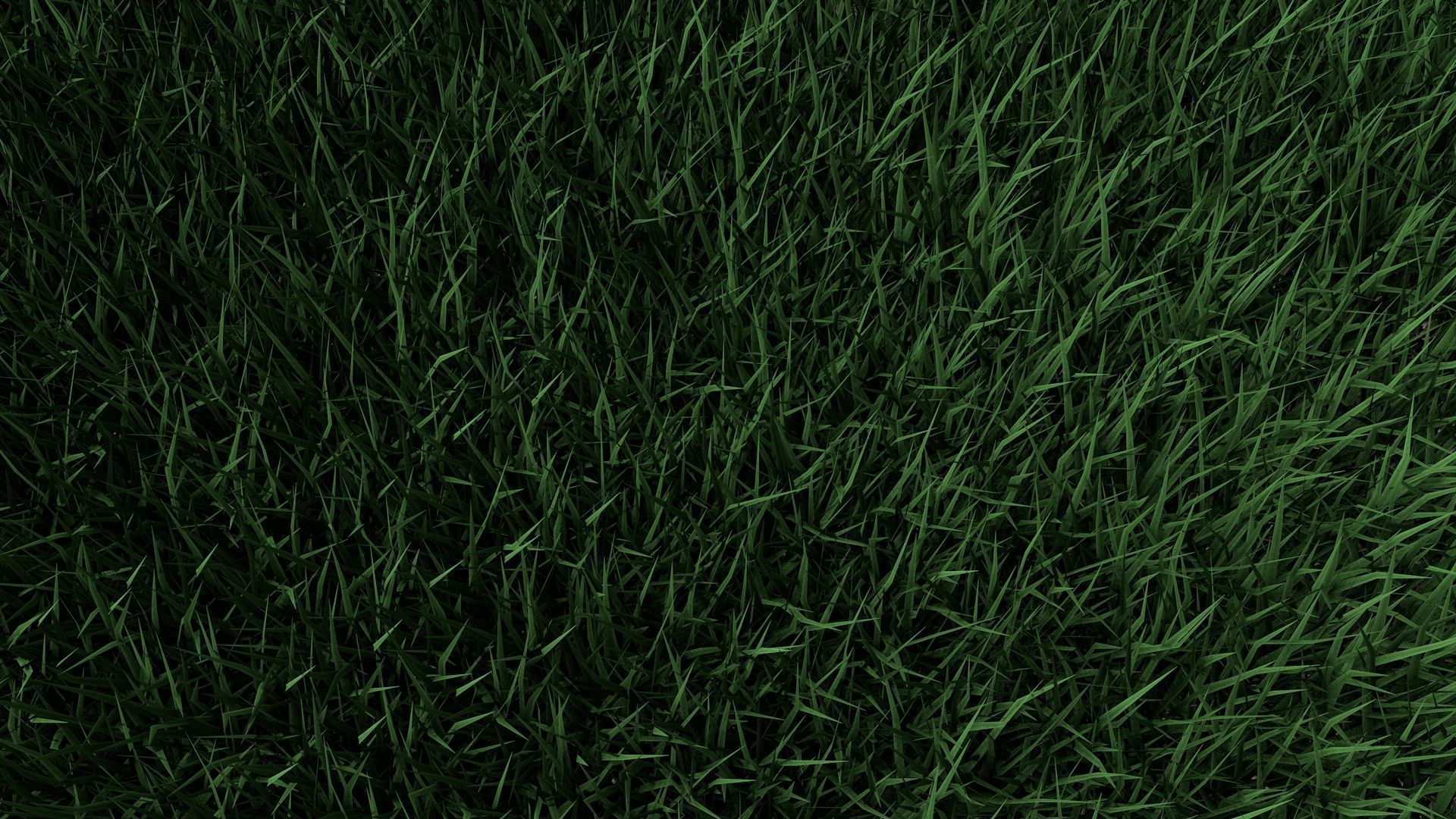 3D Lawn Grass for Garden and Park 3D model_3