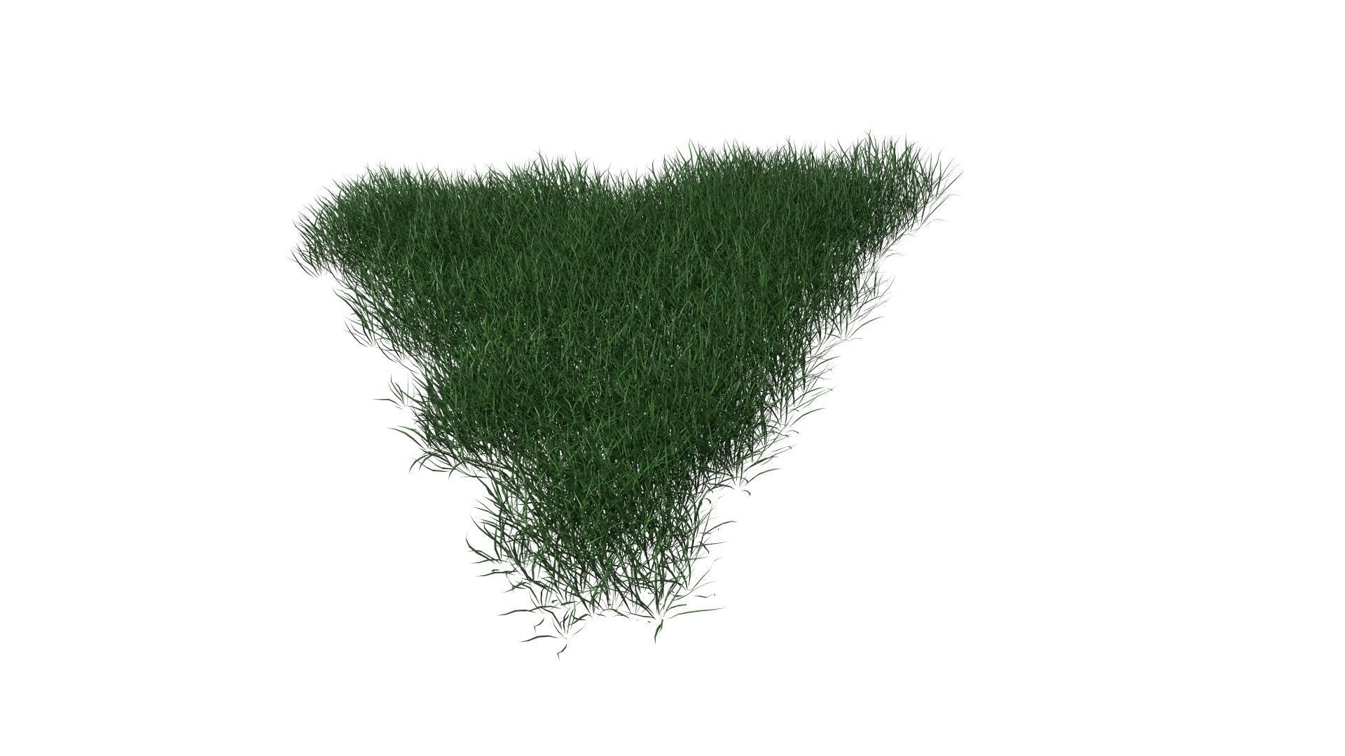 3D Lawn Grass for Garden and Park 3D model_17