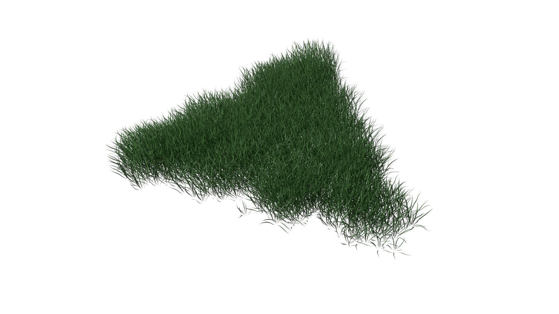 3D Lawn Grass for Garden and Park 3D model_24