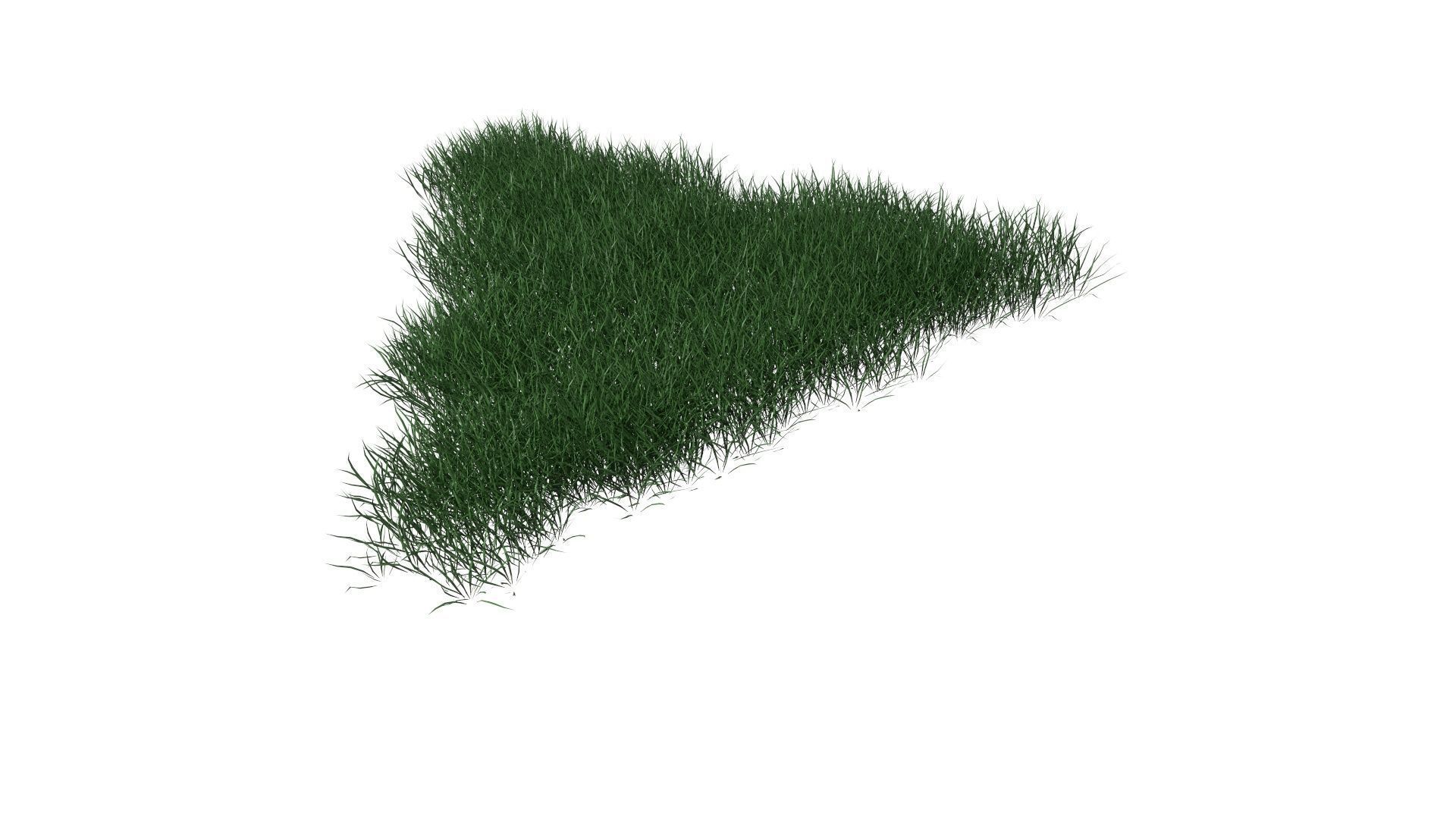 3D Lawn Grass for Garden and Park 3D model_10
