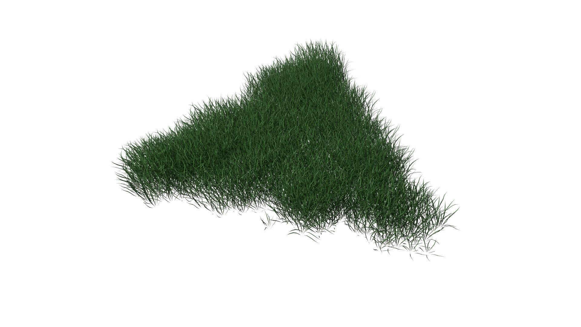 3D Lawn Grass for Garden and Park 3D model_25