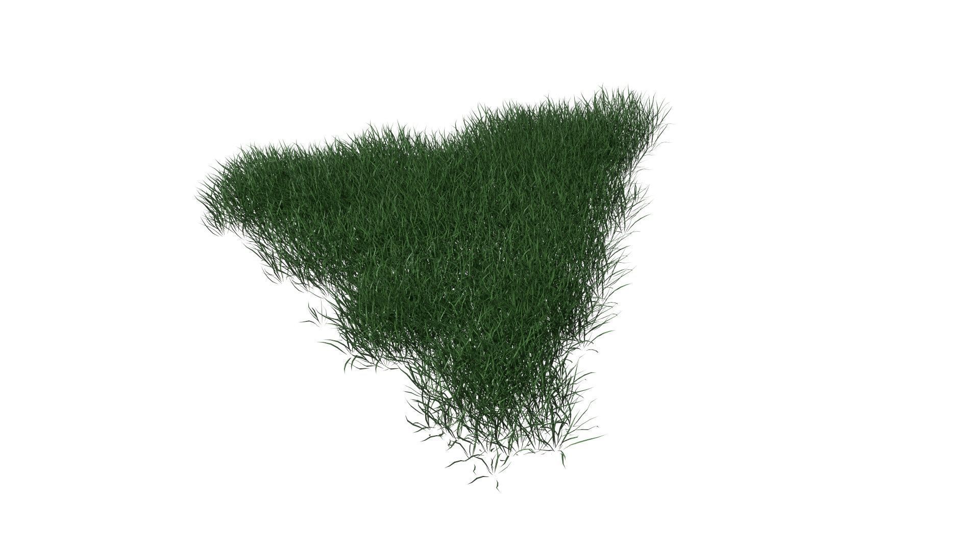 3D Lawn Grass for Garden and Park 3D model_19