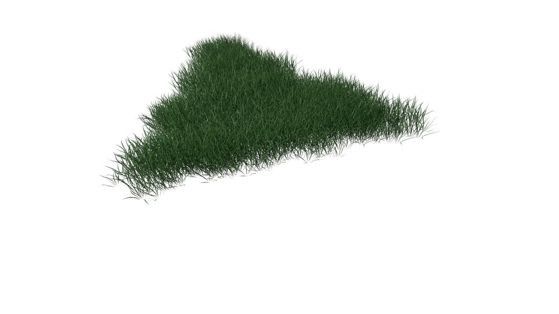 3D Lawn Grass for Garden and Park 3D model_7