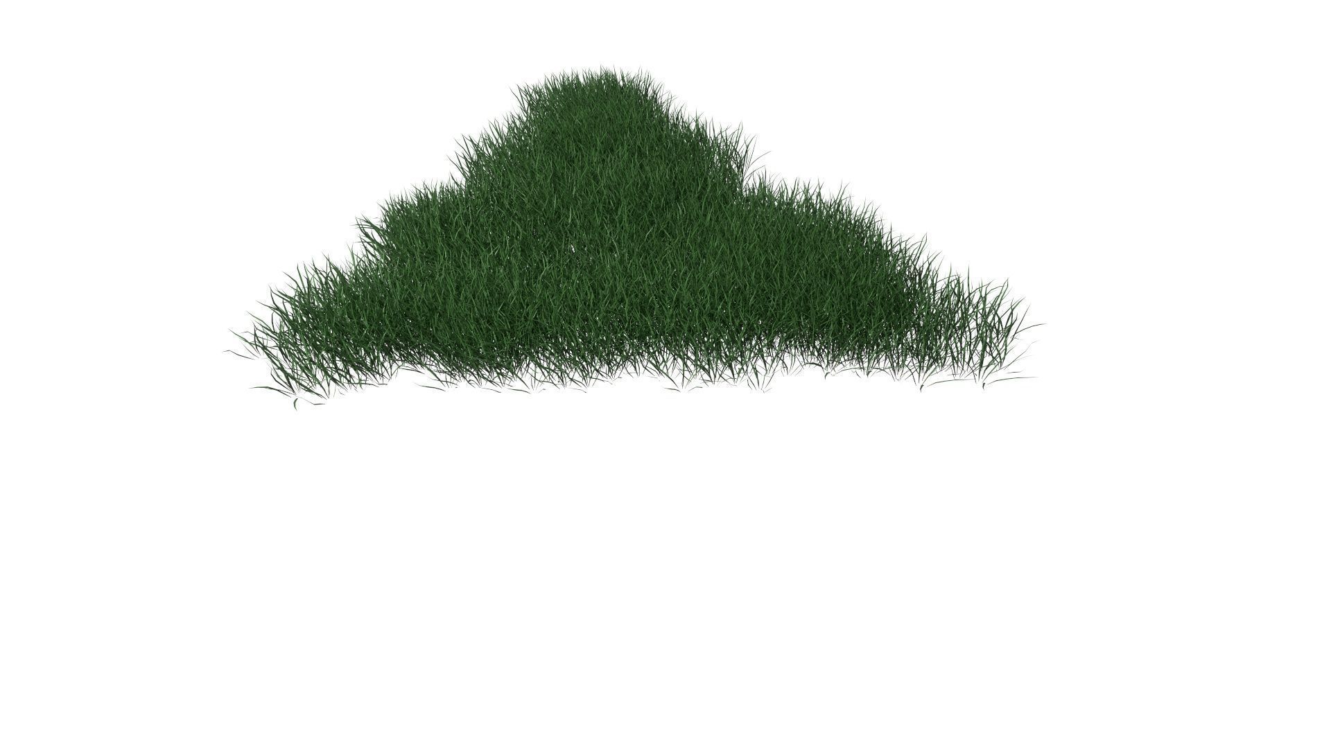 3D Lawn Grass for Garden and Park 3D model_5