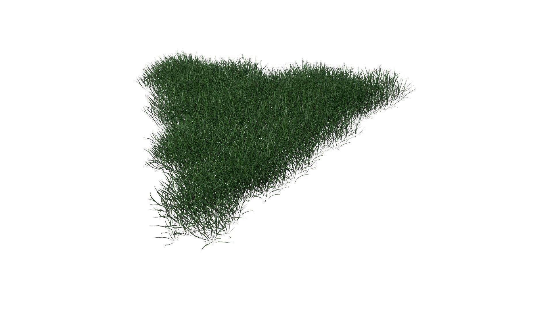 3D Lawn Grass for Garden and Park 3D model_13