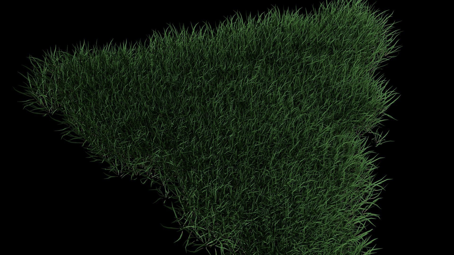 3D Lawn Grass for Garden and Park 3D model_2