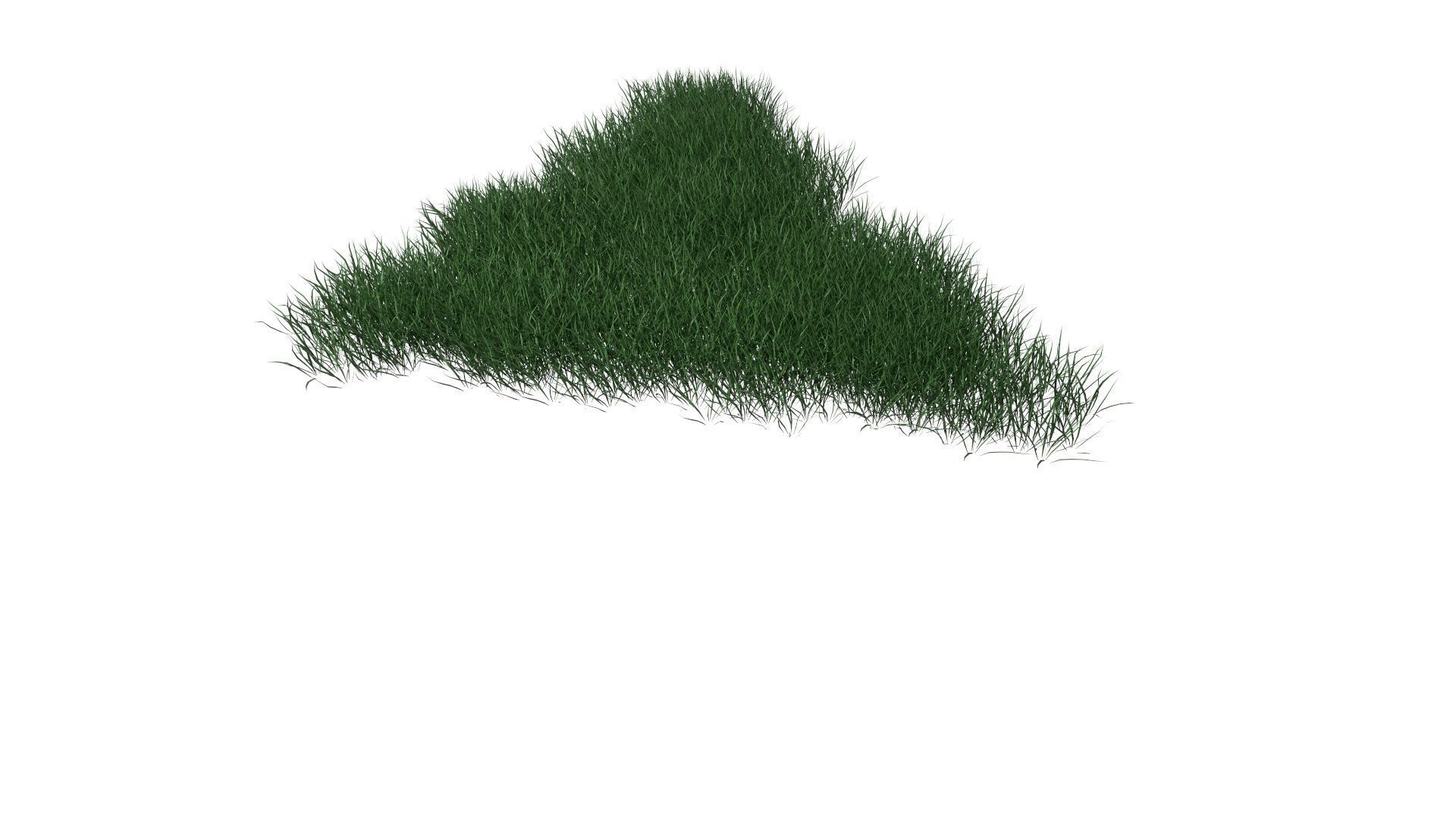 3D Lawn Grass for Garden and Park 3D model_4