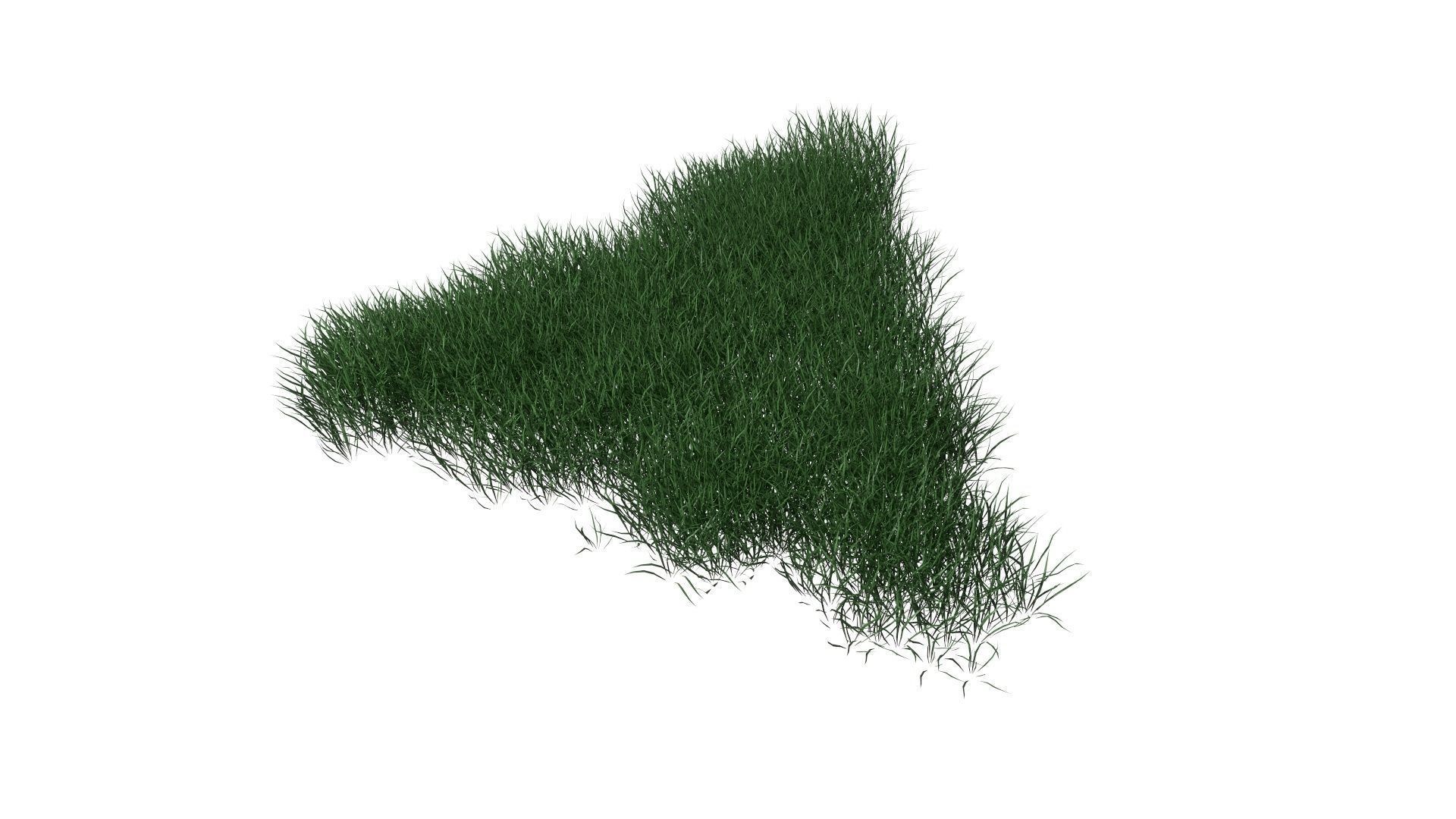 3D Lawn Grass for Garden and Park 3D model_23
