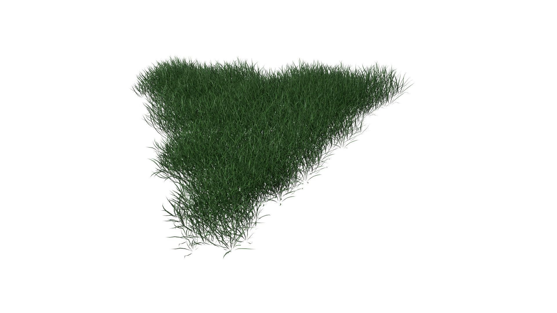 3D Lawn Grass for Garden and Park 3D model_15