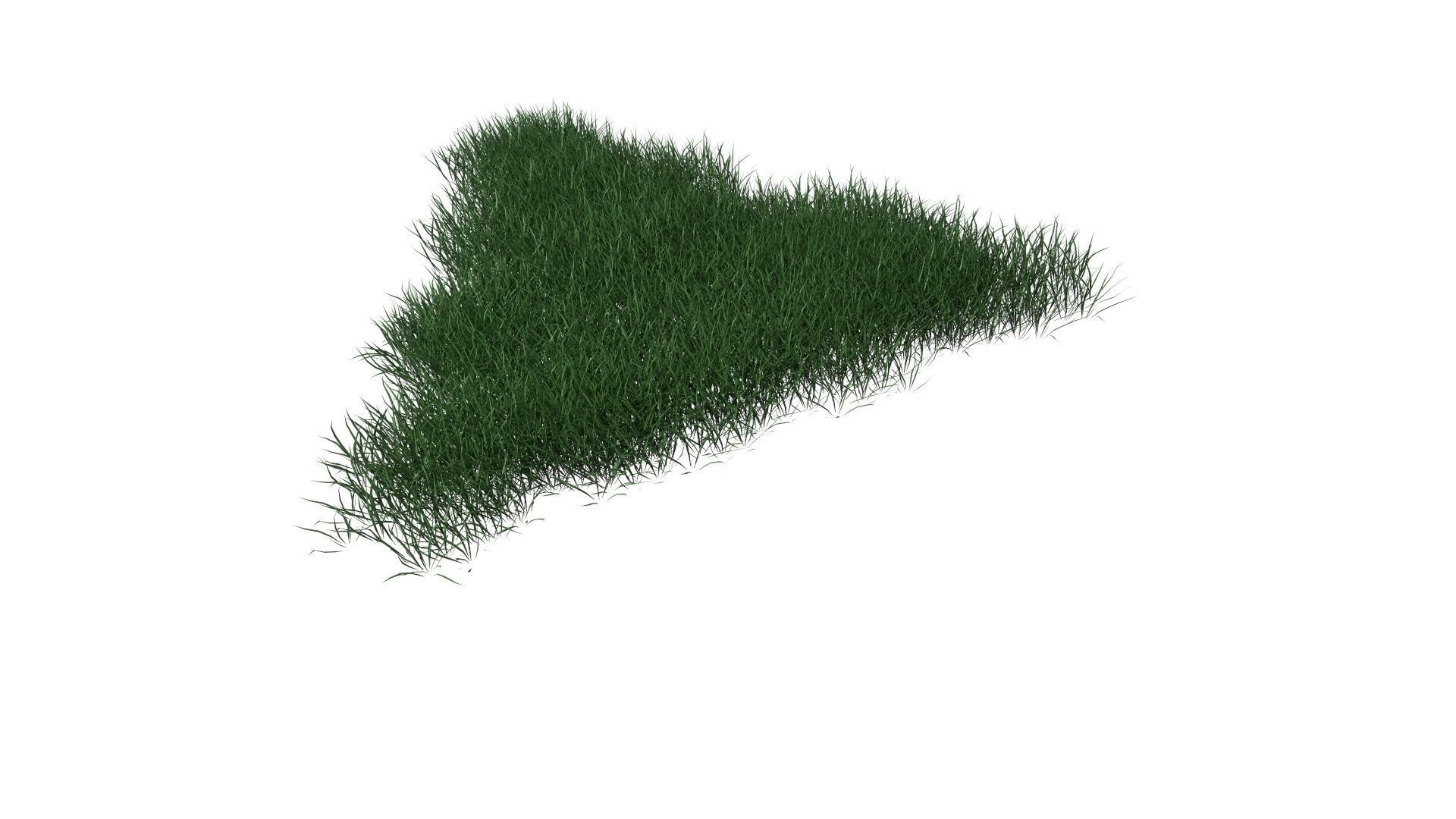 3D Lawn Grass for Garden and Park 3D model_9