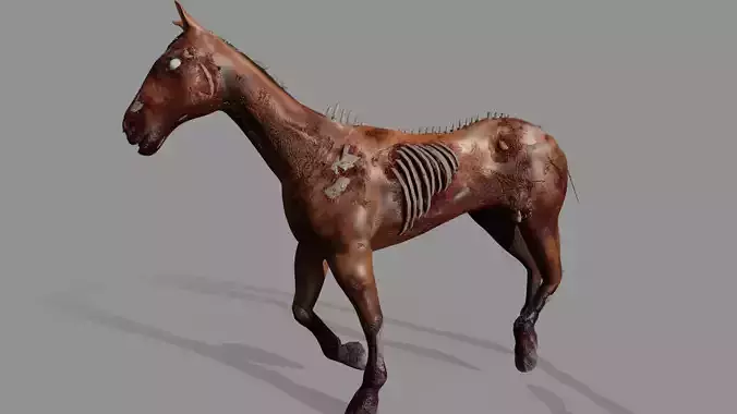 Zombie Horse