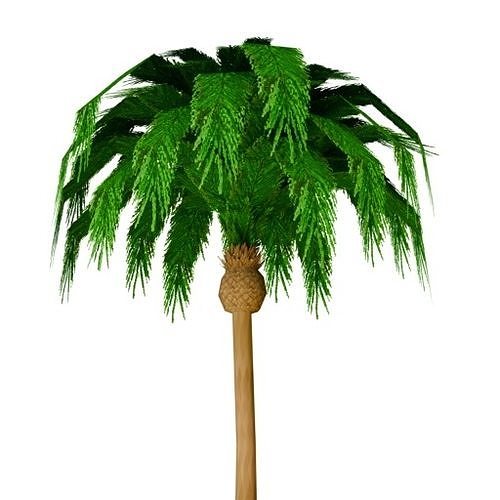 Tree - phoenix canariensis Low-poly 3D model