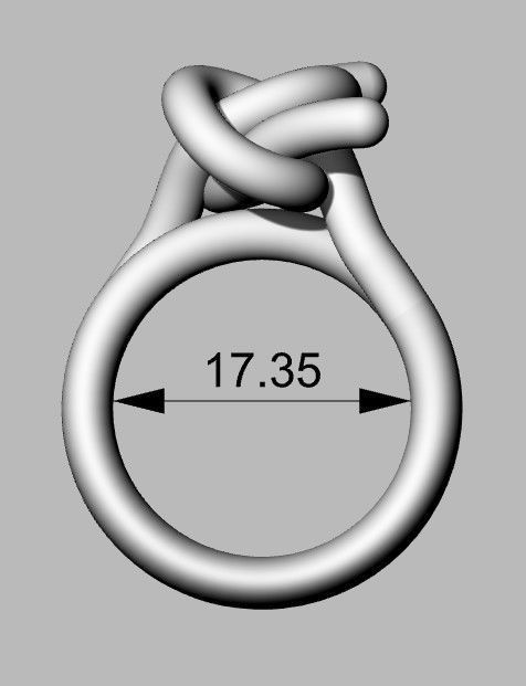 Double Knot Ring 3D print model_4