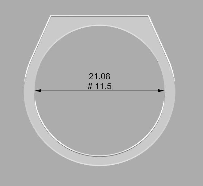 Border Ring 3D print model_4