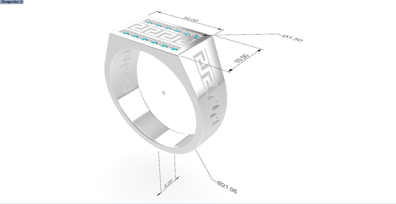 Border Ring 3D print model_3
