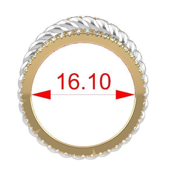 Double braid ring and fishtail mount 3D print model_4