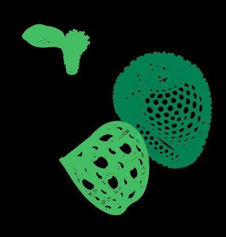 Apple Diamond rare Ring 3dm stl obj 3D print model 3D print model_12