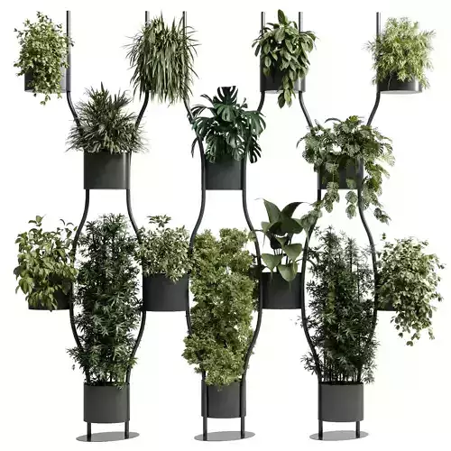 Plants set partition in metal frame 96 - Vertical graden circle 