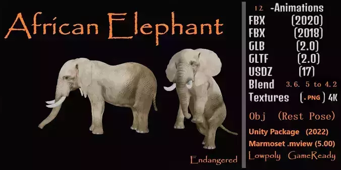African Elephant Low-poly 3D model