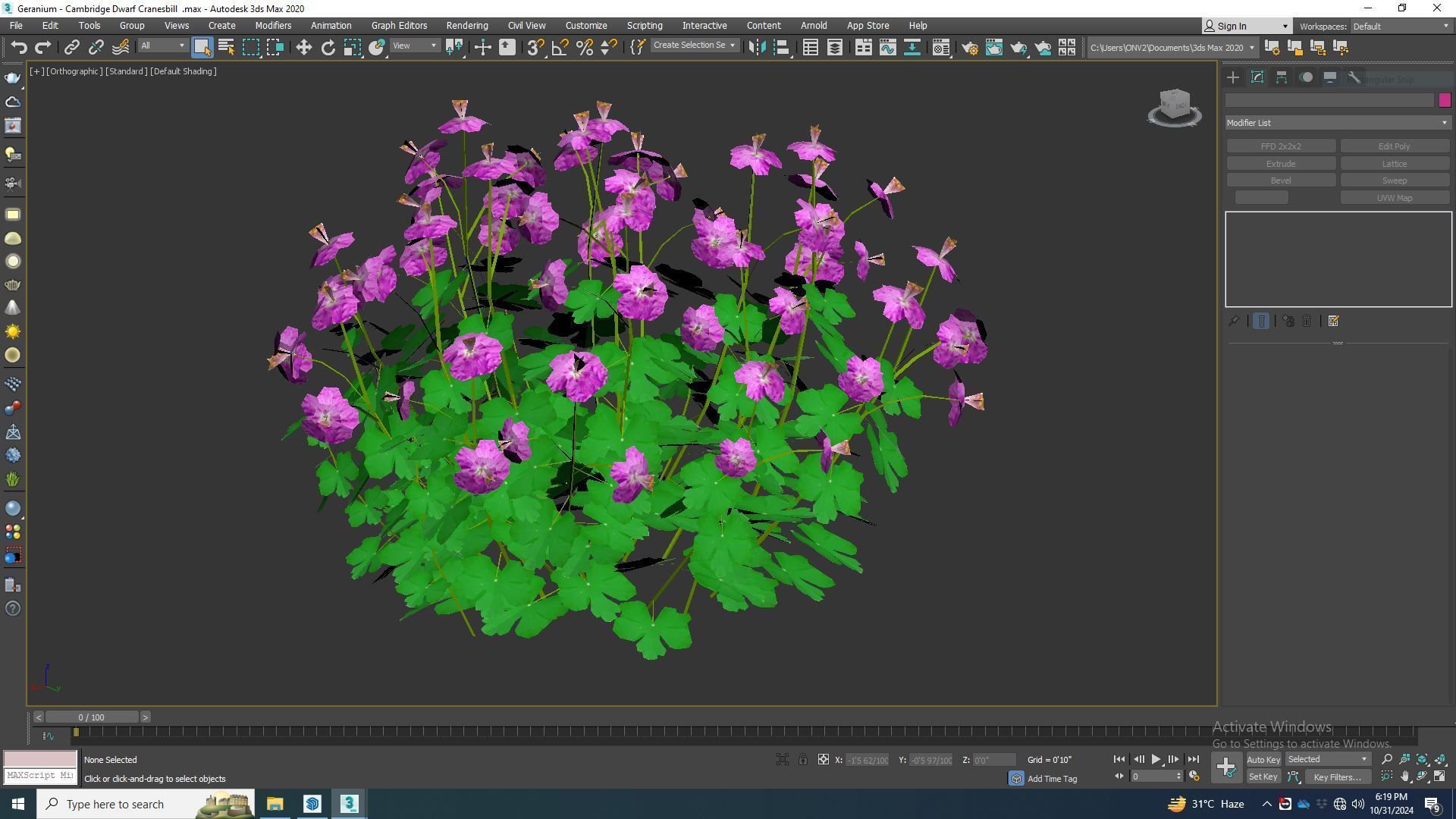 Plant Geranium - Cambridge Dwarf Cranesbill Low-poly 3D model_6