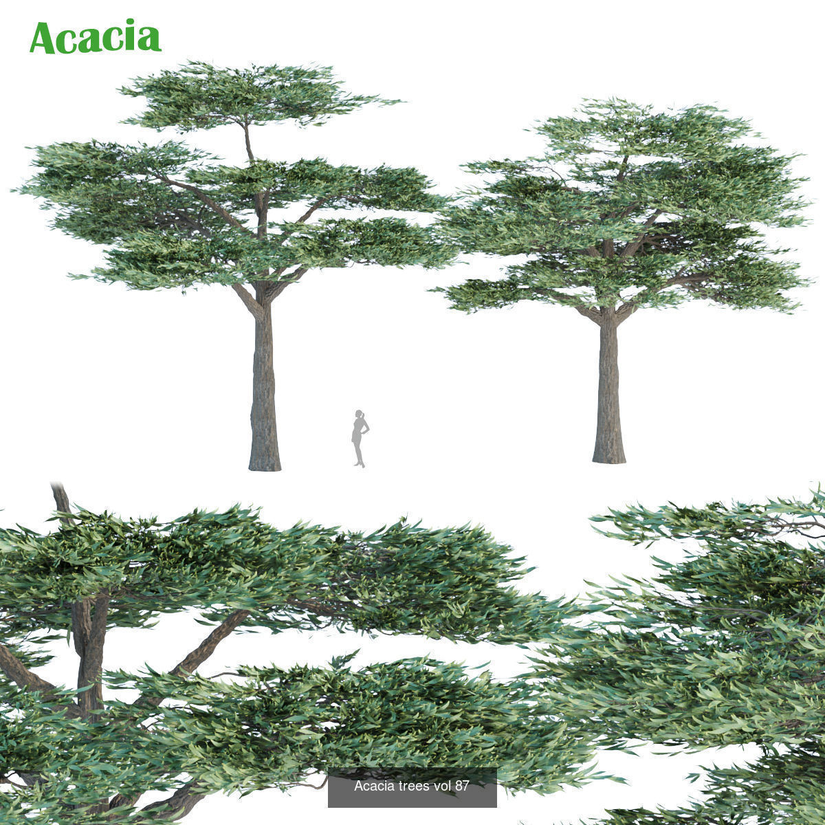 Ultimate 3D Tree Collection Over 100Types _6