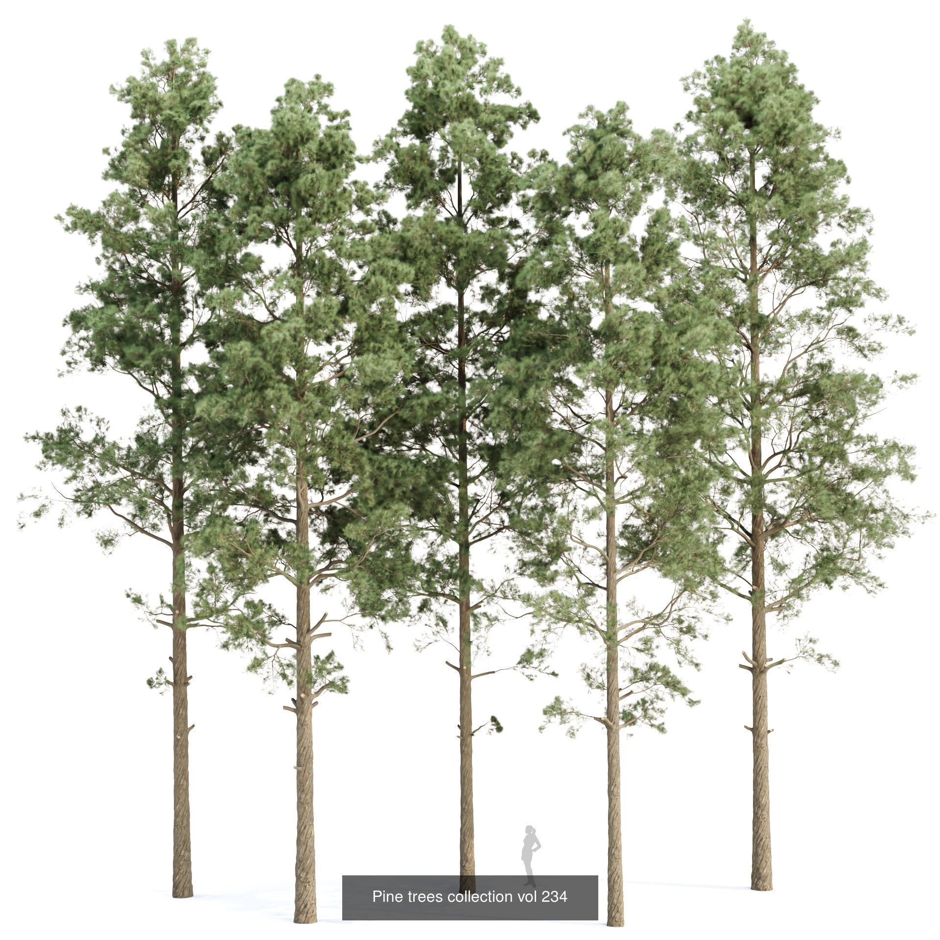 Ultimate 3D Tree Collection Over 100Types _25