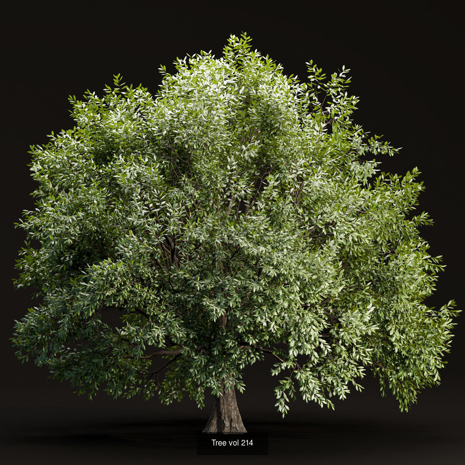 Ultimate 3D Tree Collection Over 100Types _19