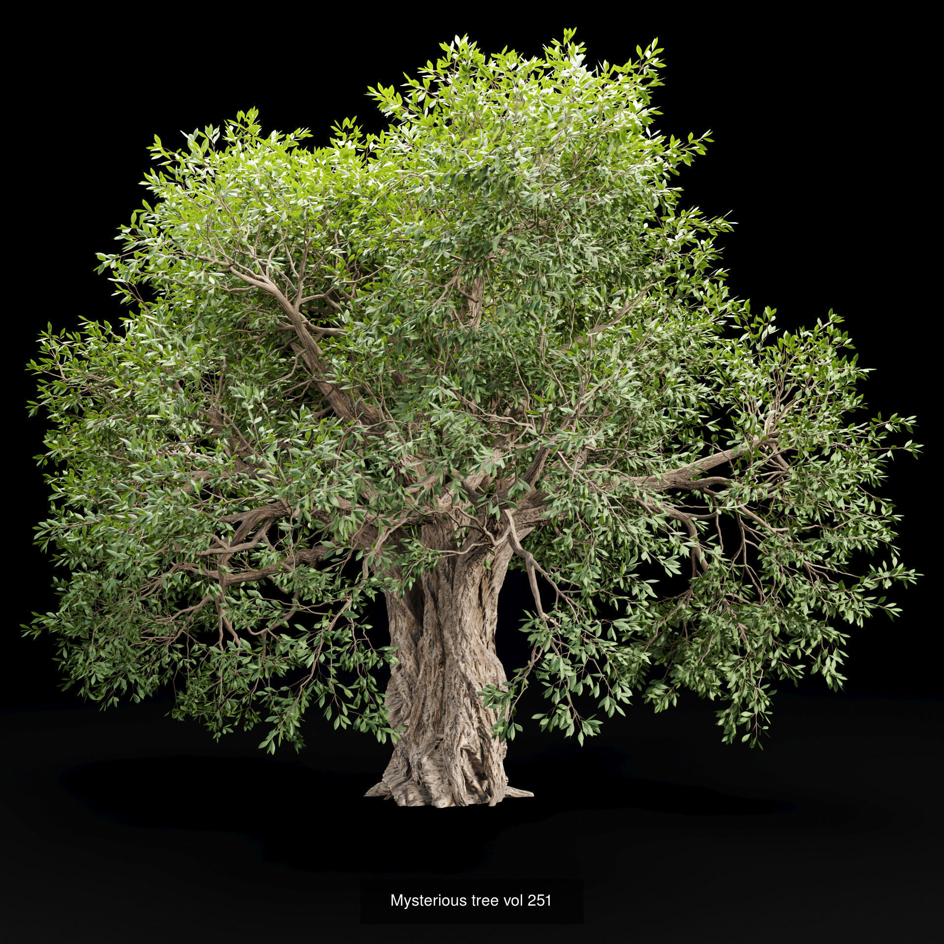 Ultimate 3D Tree Collection Over 100Types _46
