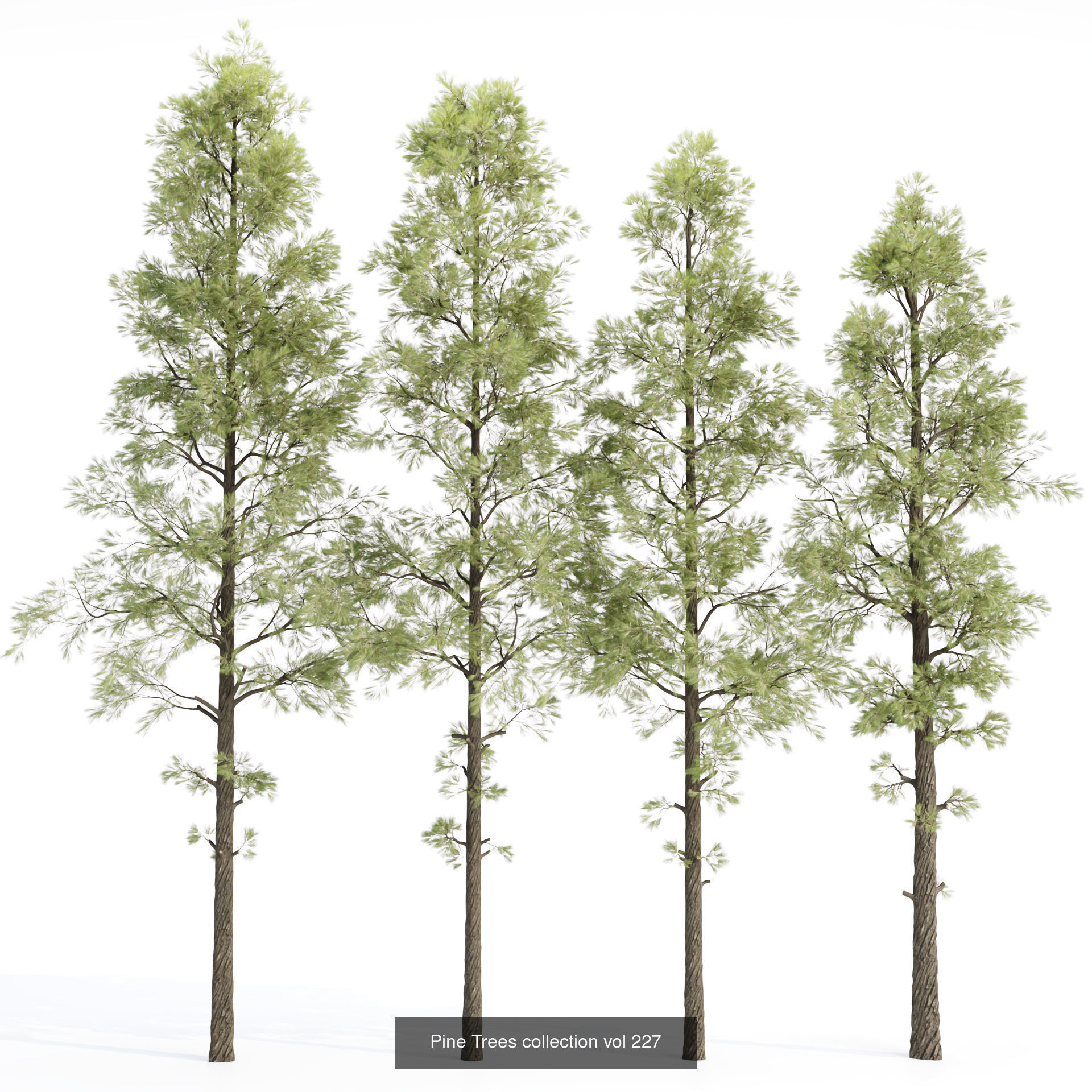 Ultimate 3D Tree Collection Over 100Types _21