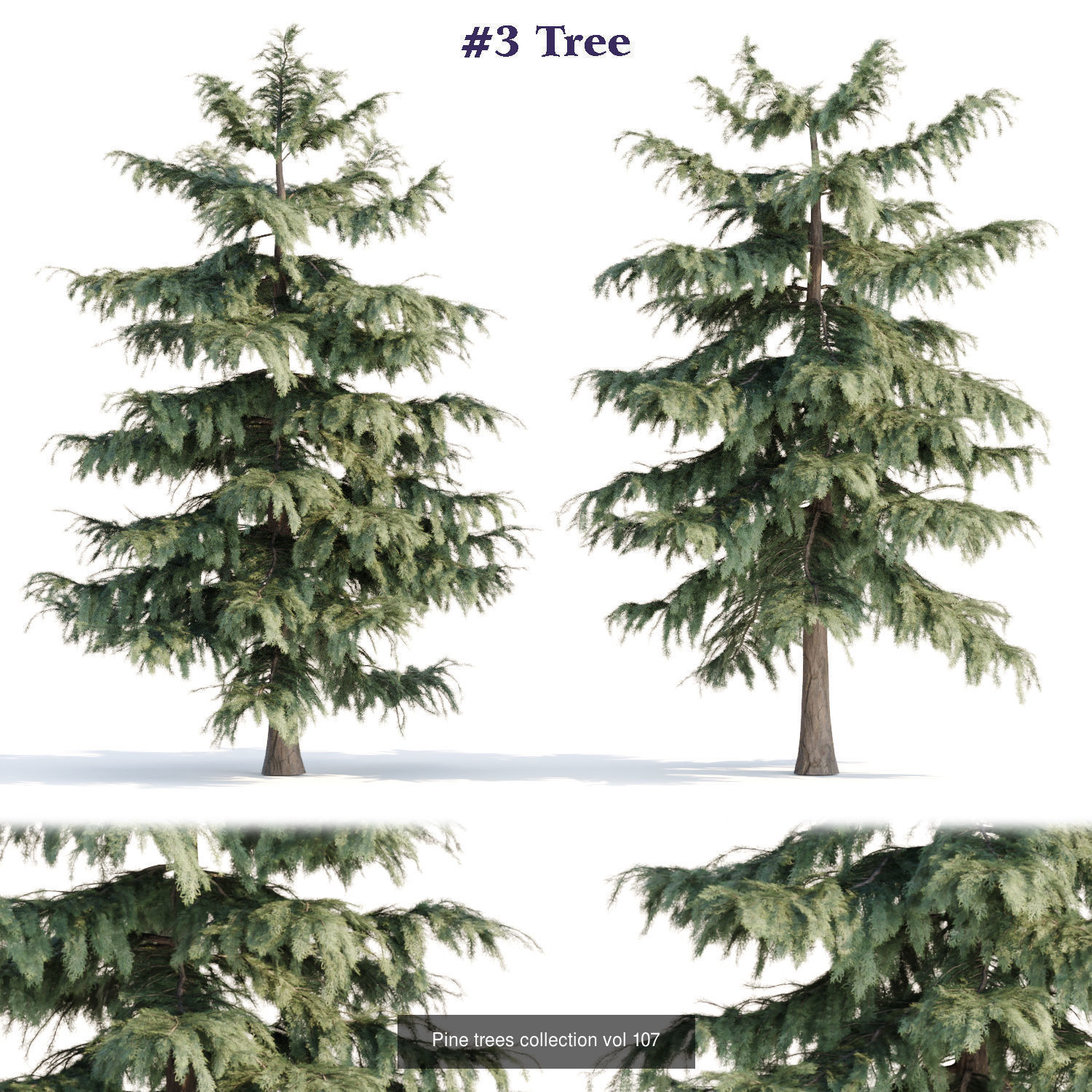 Ultimate 3D Tree Collection Over 100Types _9
