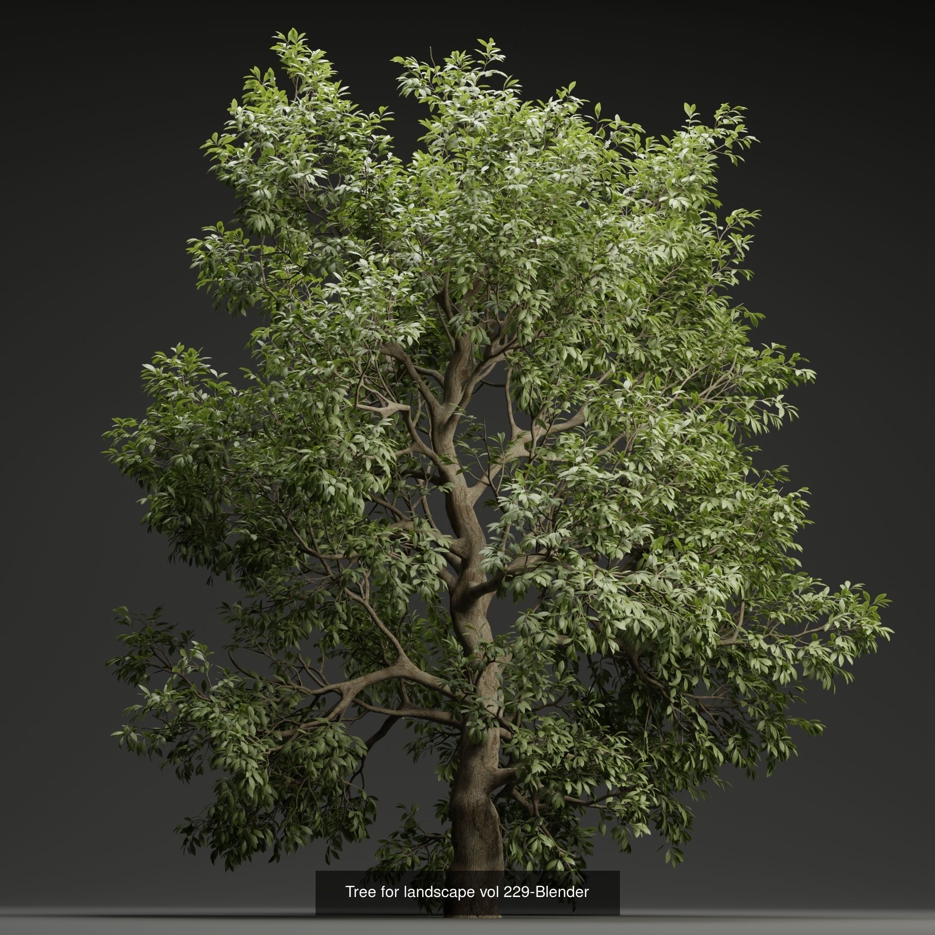 Ultimate 3D Tree Collection Over 100Types _48