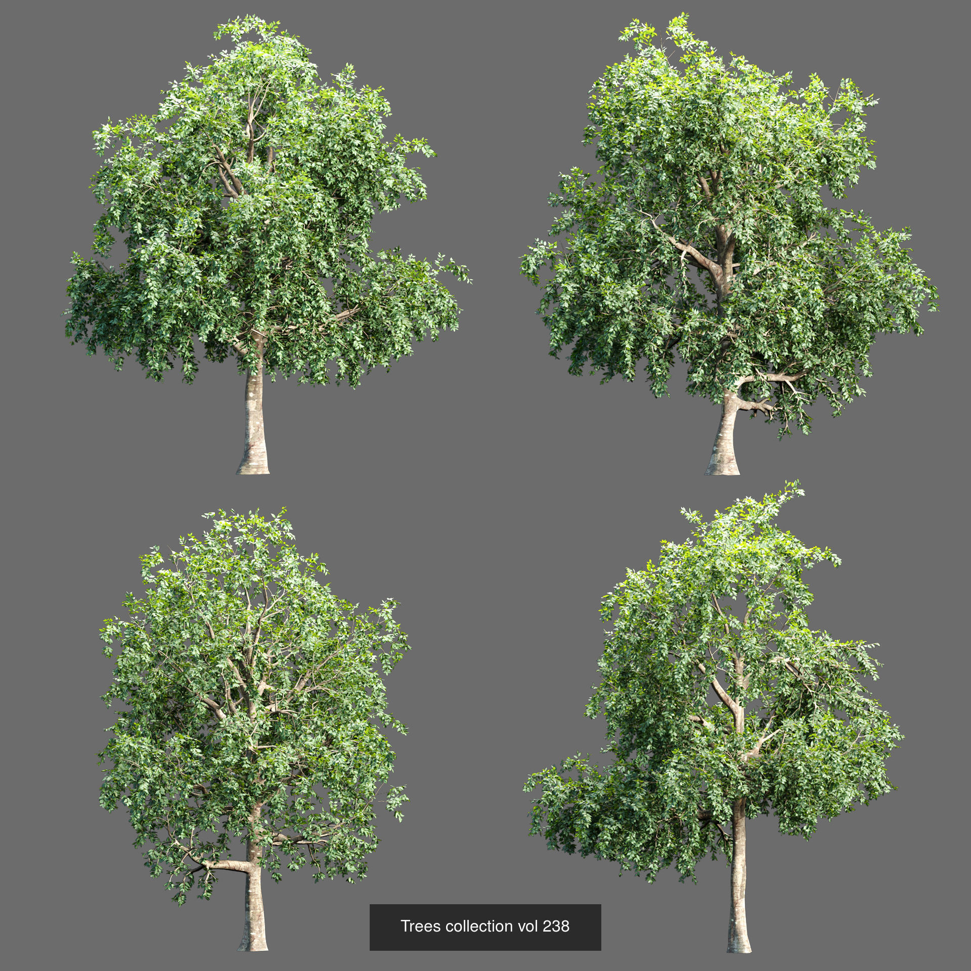 Ultimate 3D Tree Collection Over 100Types _32