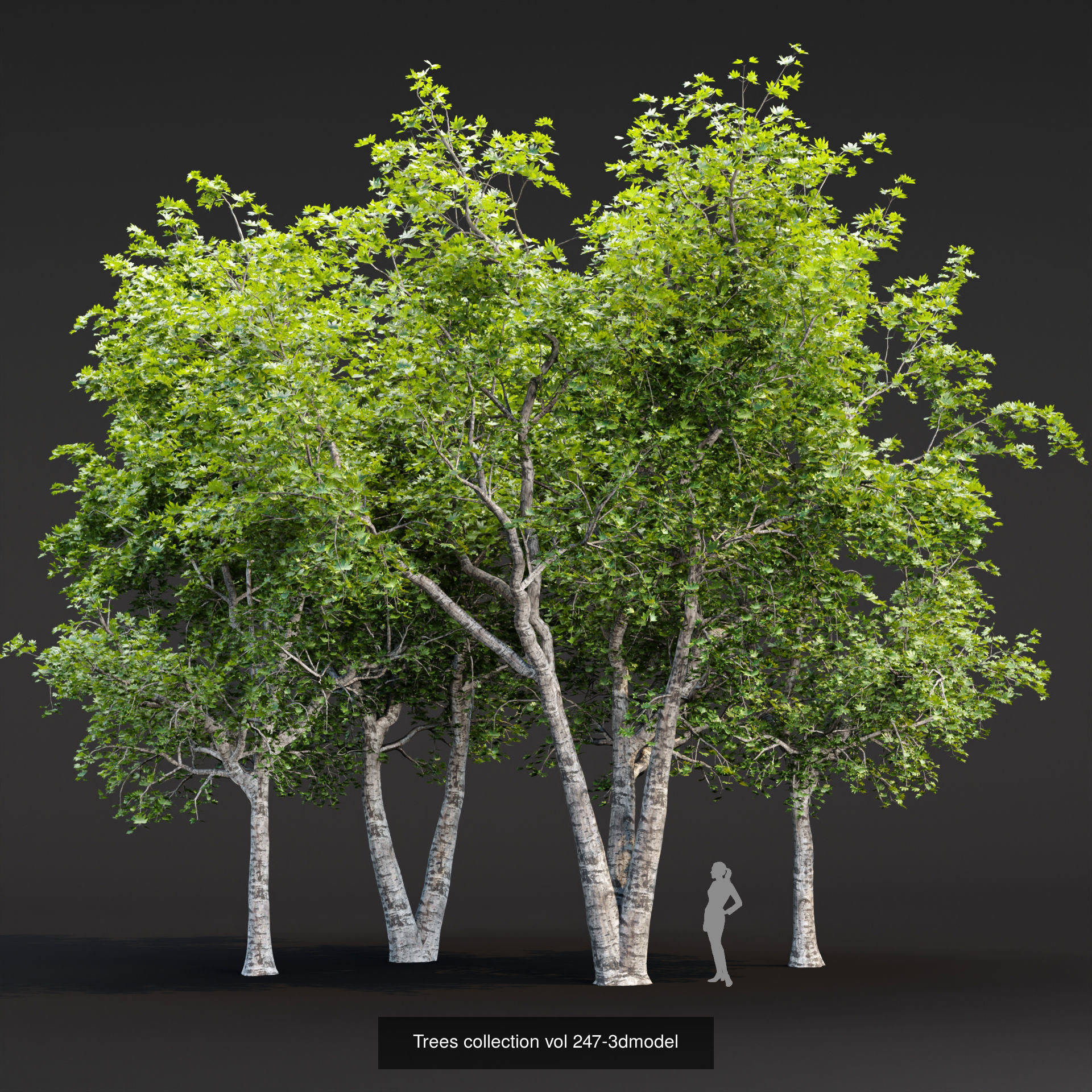 Ultimate 3D Tree Collection Over 100Types _45