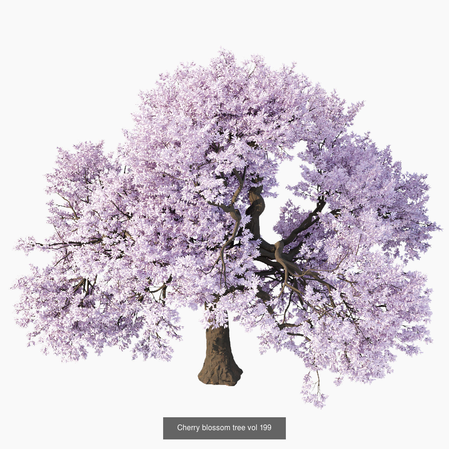 Ultimate 3D Tree Collection Over 100Types _18