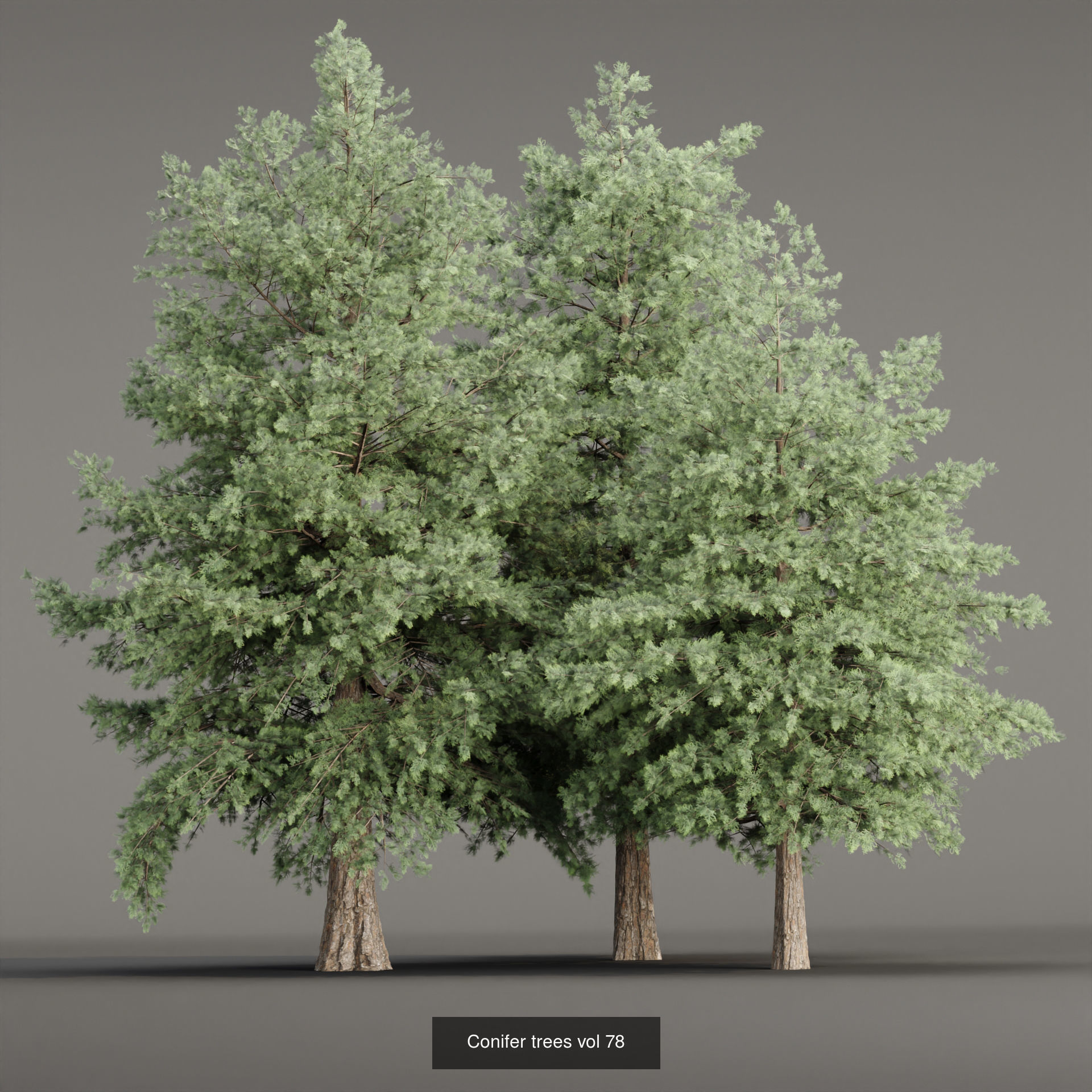 Ultimate 3D Tree Collection Over 100Types _55