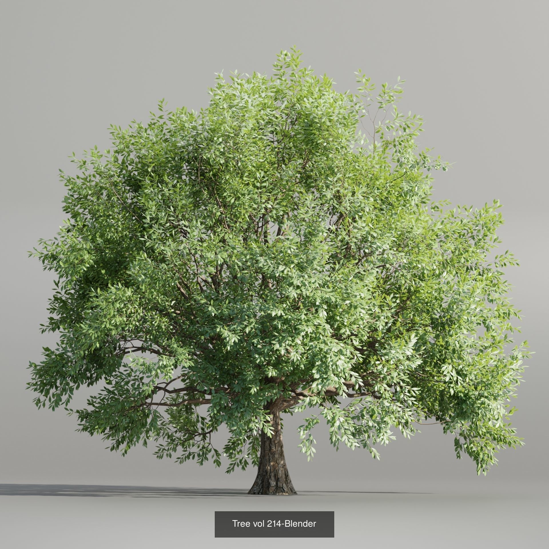 Ultimate 3D Tree Collection Over 100Types _42
