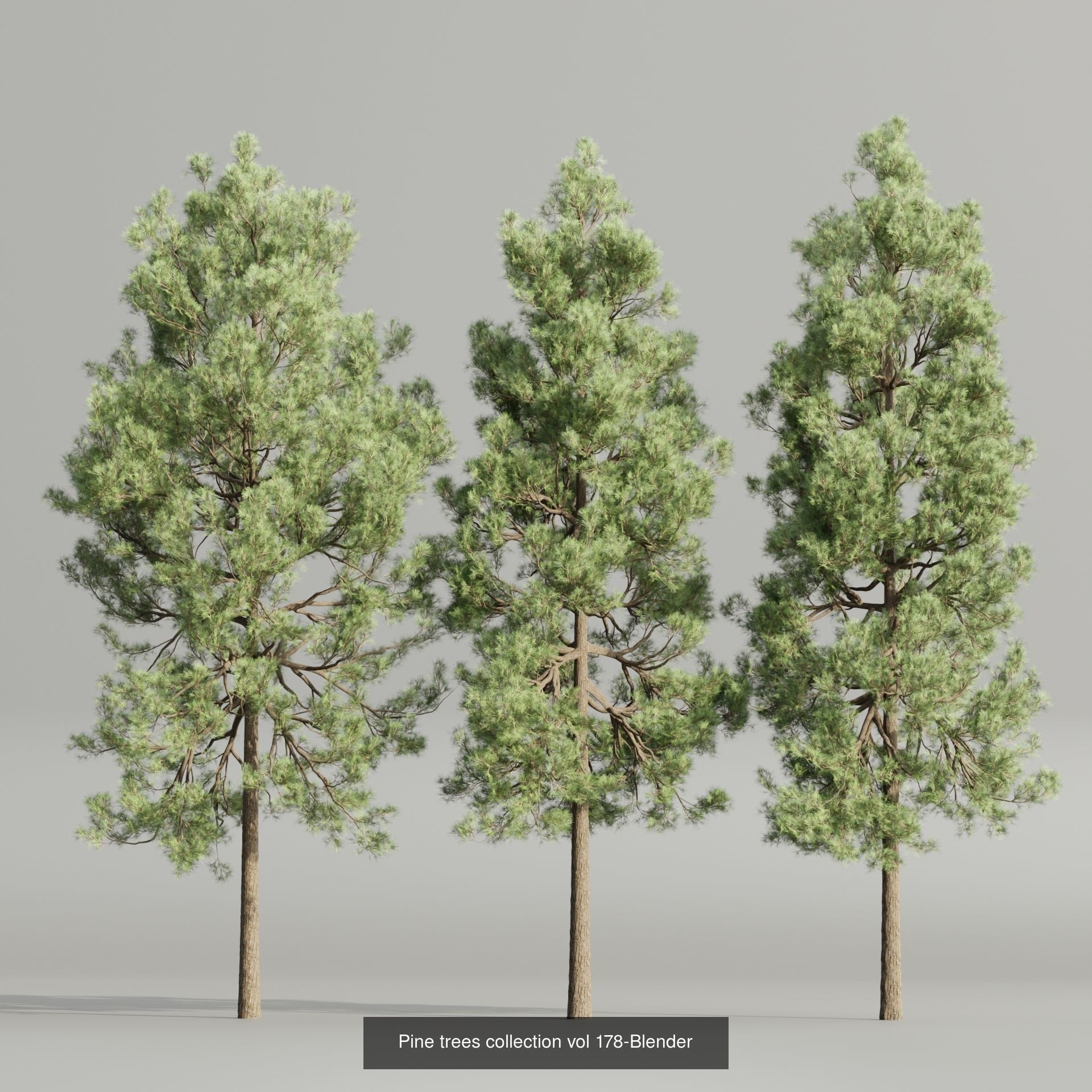 Ultimate 3D Tree Collection Over 100Types _37