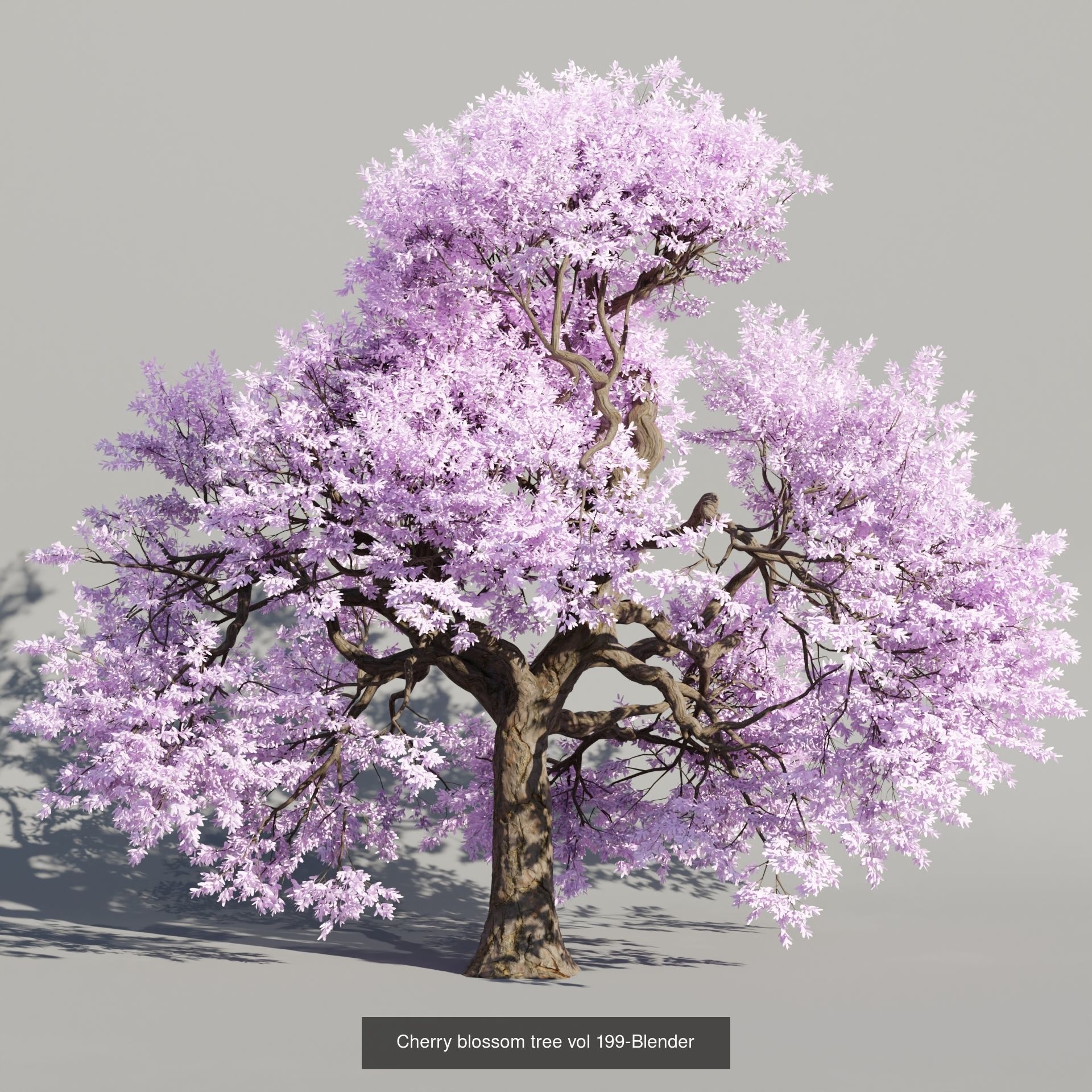 Ultimate 3D Tree Collection Over 100Types _41