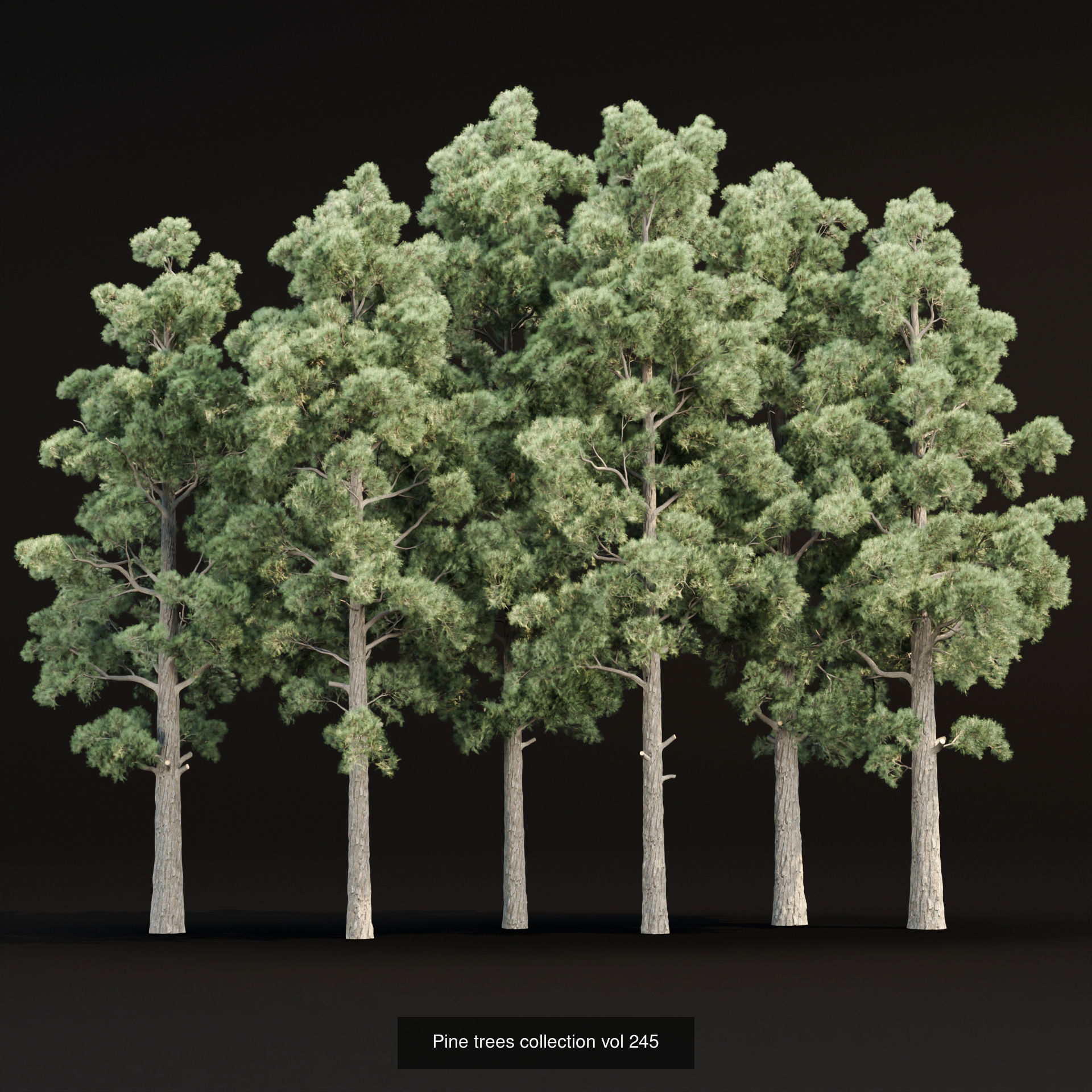 Ultimate 3D Tree Collection Over 100Types _44