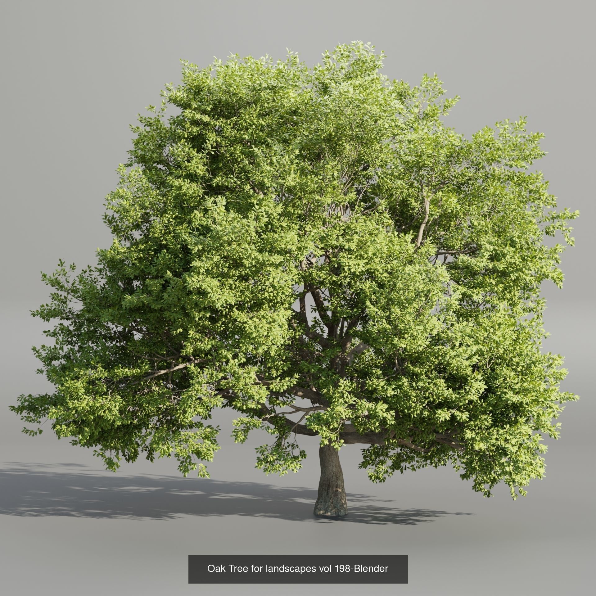 Ultimate 3D Tree Collection Over 100Types _40